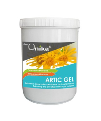 GEL ÁRTICO (1 KG) LU0081