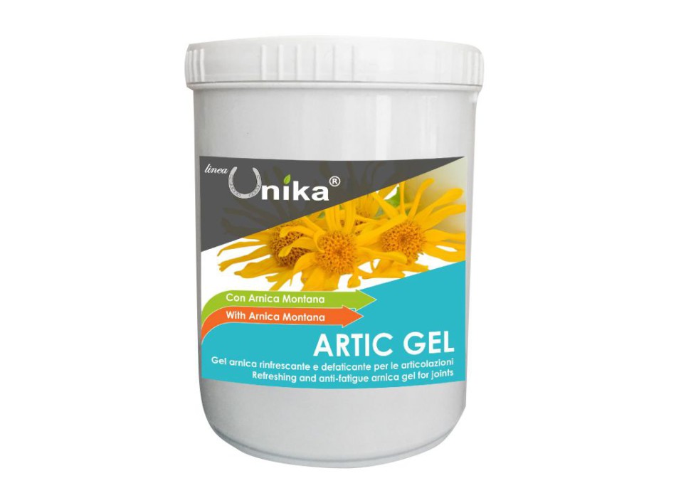 GEL ÁRTICO (1 KG) LU0081