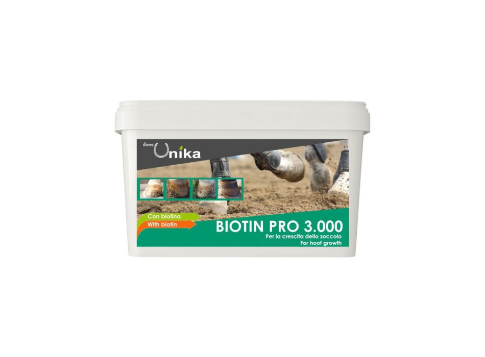 BIOTINA PRO 3000 (1 KG)