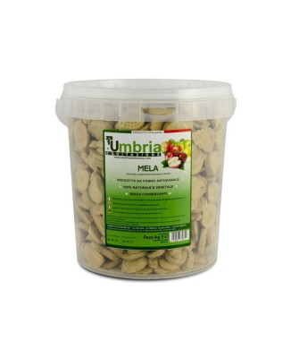 GALLETAS DE MANZANA (3 KG)