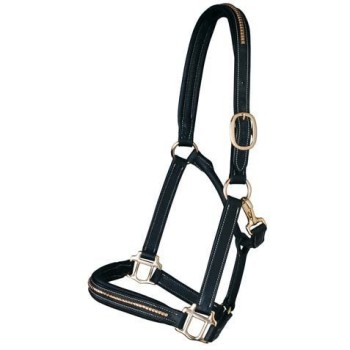 Halter de latón para cubierta