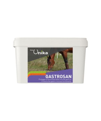 GASTROSANO (1,5 KG) LU0027