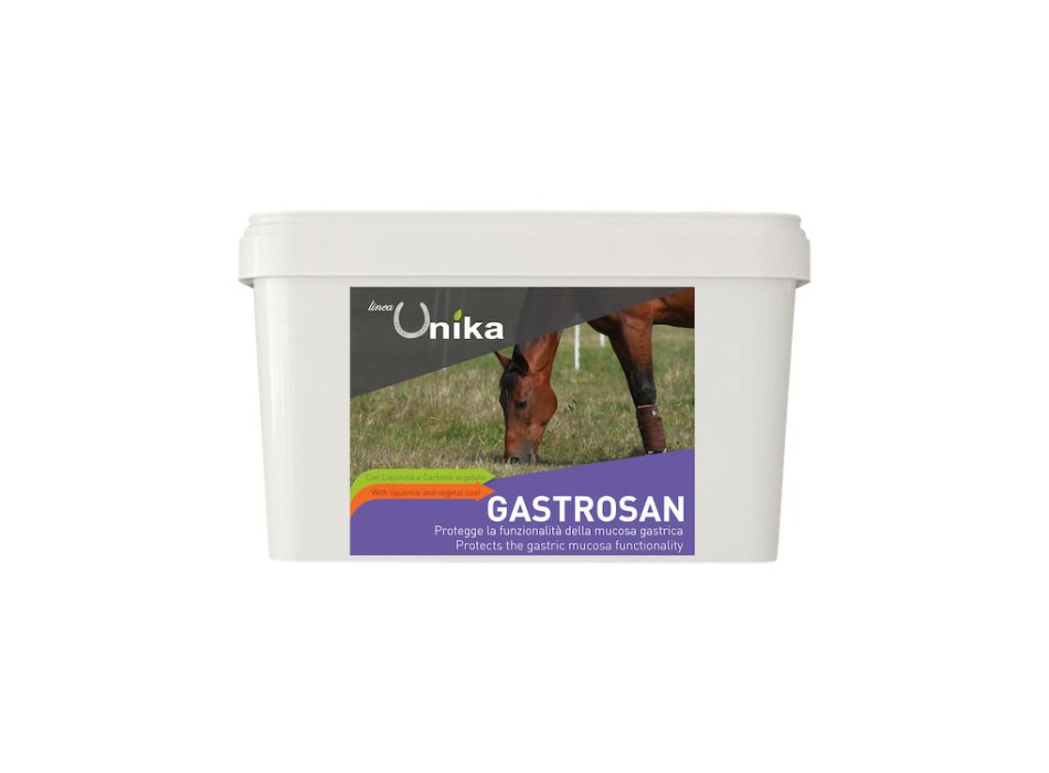 GASTROSANO (1,5 KG) LU0027