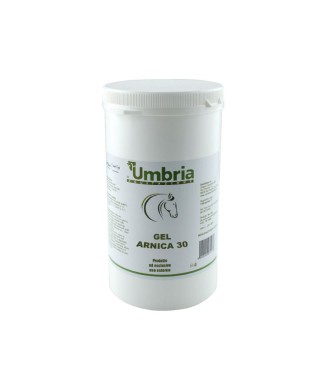 GEL DE ÁRNICA 30 (1 KG)