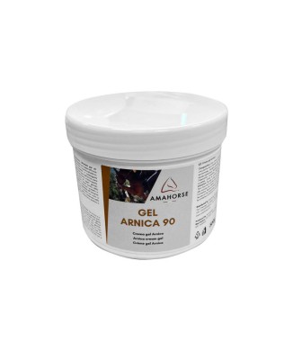 ÁRNICA GEL 90 (500G)