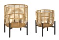 PAR DE ASA MACETERO RATTAN 41 y 33 cm