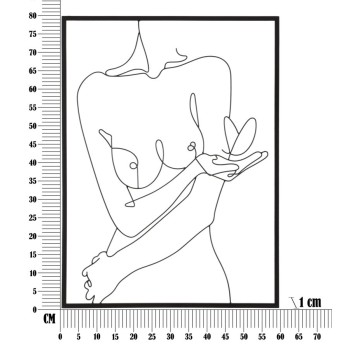 PANEL DE HIERRO DESNUDEZ