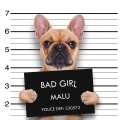 PINTDECOR Quadro BAD GIRL G2052