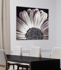 Marco NEGRO DAISY P4752 PINTDECOR