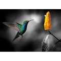 Pintura COLIBRI 2 G3344 PINTDECOR