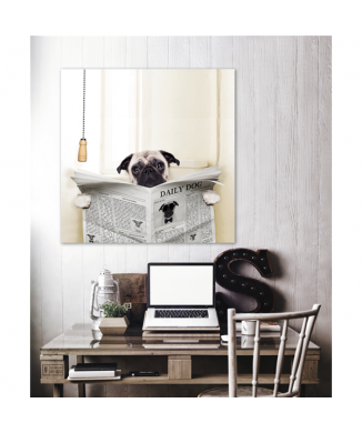 Marco DAILY DOG G1576 PINTDECOR