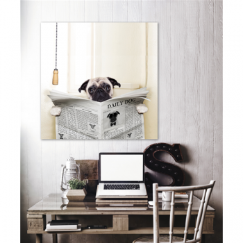 Marco DAILY DOG G1576 PINTDECOR