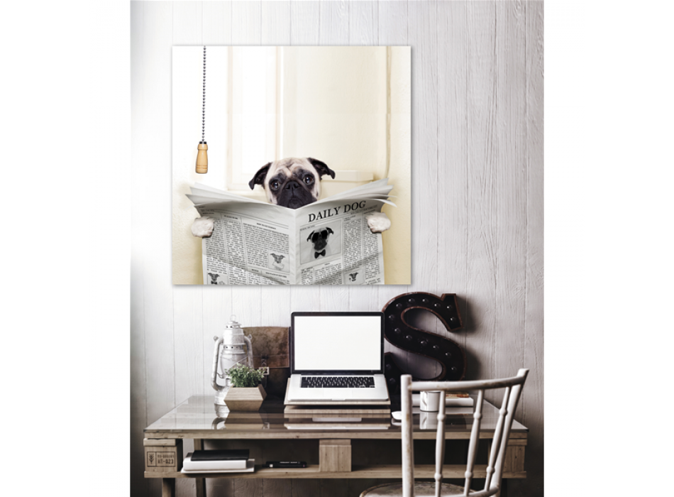 Marco DAILY DOG G1576 PINTDECOR