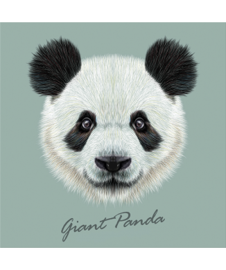 Marco PANDA GIGANTE G3382 PINTDECOR