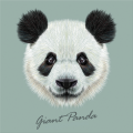 Marco PANDA GIGANTE G3382 PINTDECOR