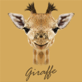 Marco GIRAFFA G3384 PINTDECOR