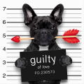 GUILTY Quadro G3358 PINTDECOR