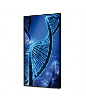 Cuadro BRIGHT DNA GL3488 PINTDECOR