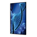 LUMINOUS Framework DNA GL3488 PINTDECOR