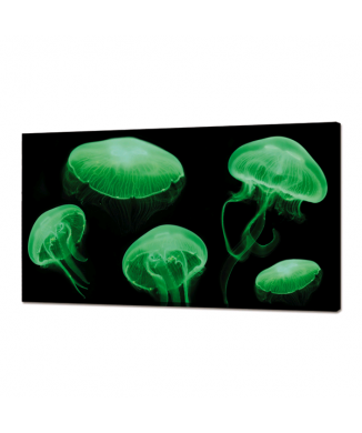 Cuadro LUMINOSO MEDUSAS FLUO GL3498 PINTDECOR