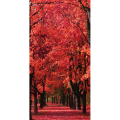 Marco PASEO DE OTOÑO G4122 PINTDECOR