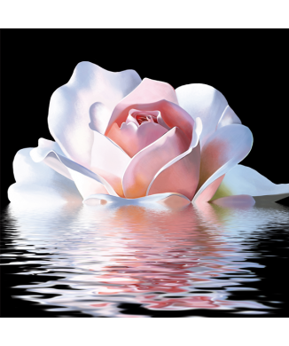 Cuadro REFLEJO ROSA G2574 PINTDECOR