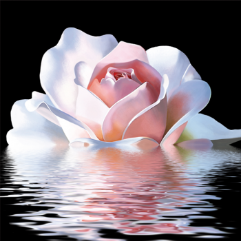 Cuadro REFLEJO ROSA G2574 PINTDECOR