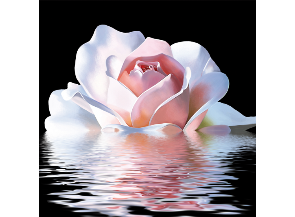 Cuadro REFLEJO ROSA G2574 PINTDECOR