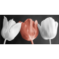 Quadro TULIPES G2520 PINTDECOR