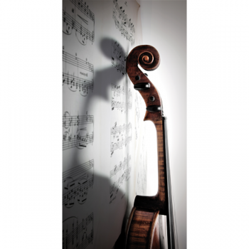 Marco VIOLIN G1498 PINTDECOR