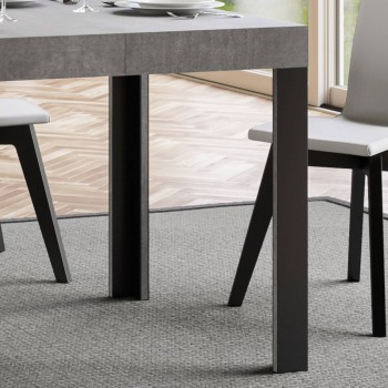 Linea Table - Mesa extensible 70x110/194 cm Linea White Ash Estructura Antracita