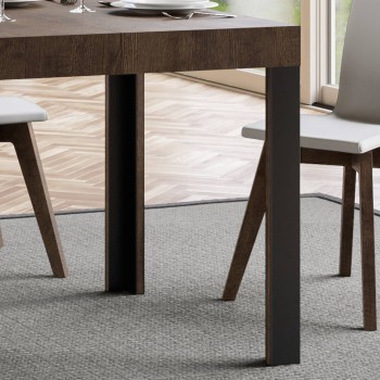 Linea Table - Mesa extensible 90x120/224 cm Linea White Ash Estructura Antracita